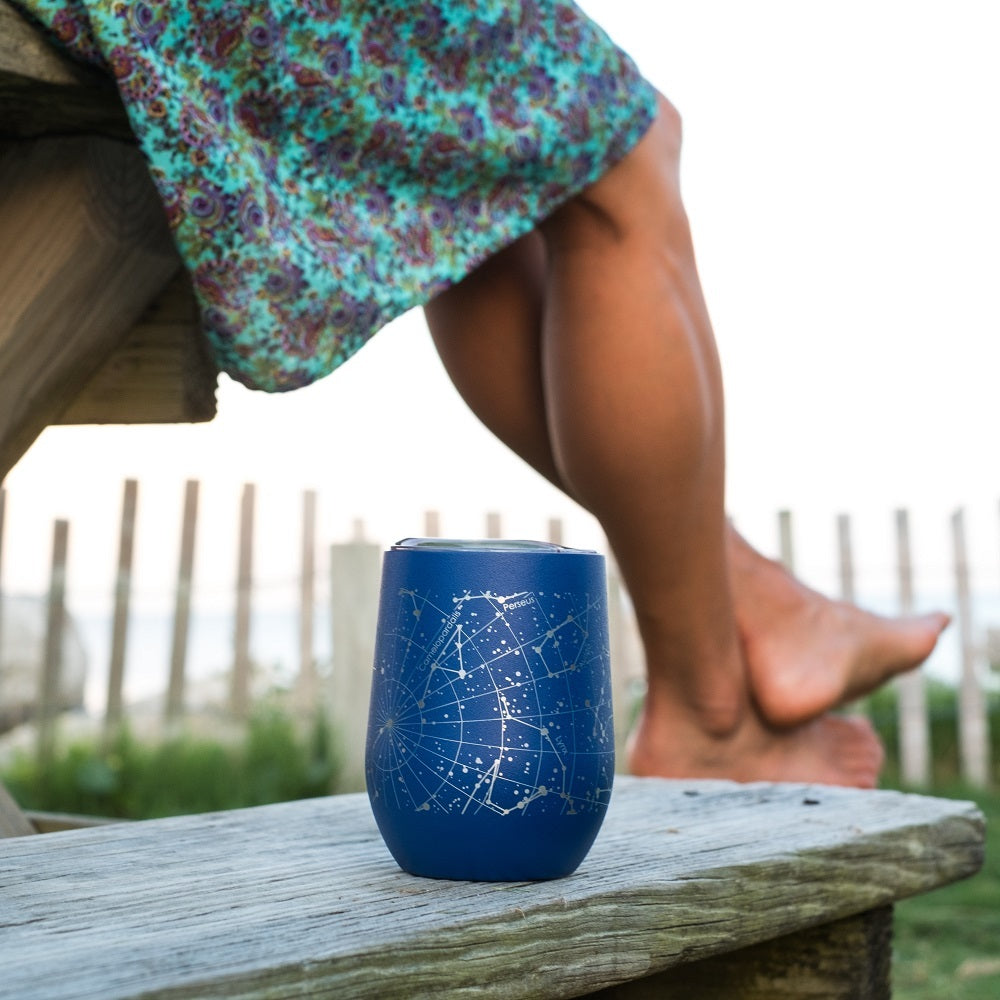 World Map 12 oz Insulated Wine Tumbler