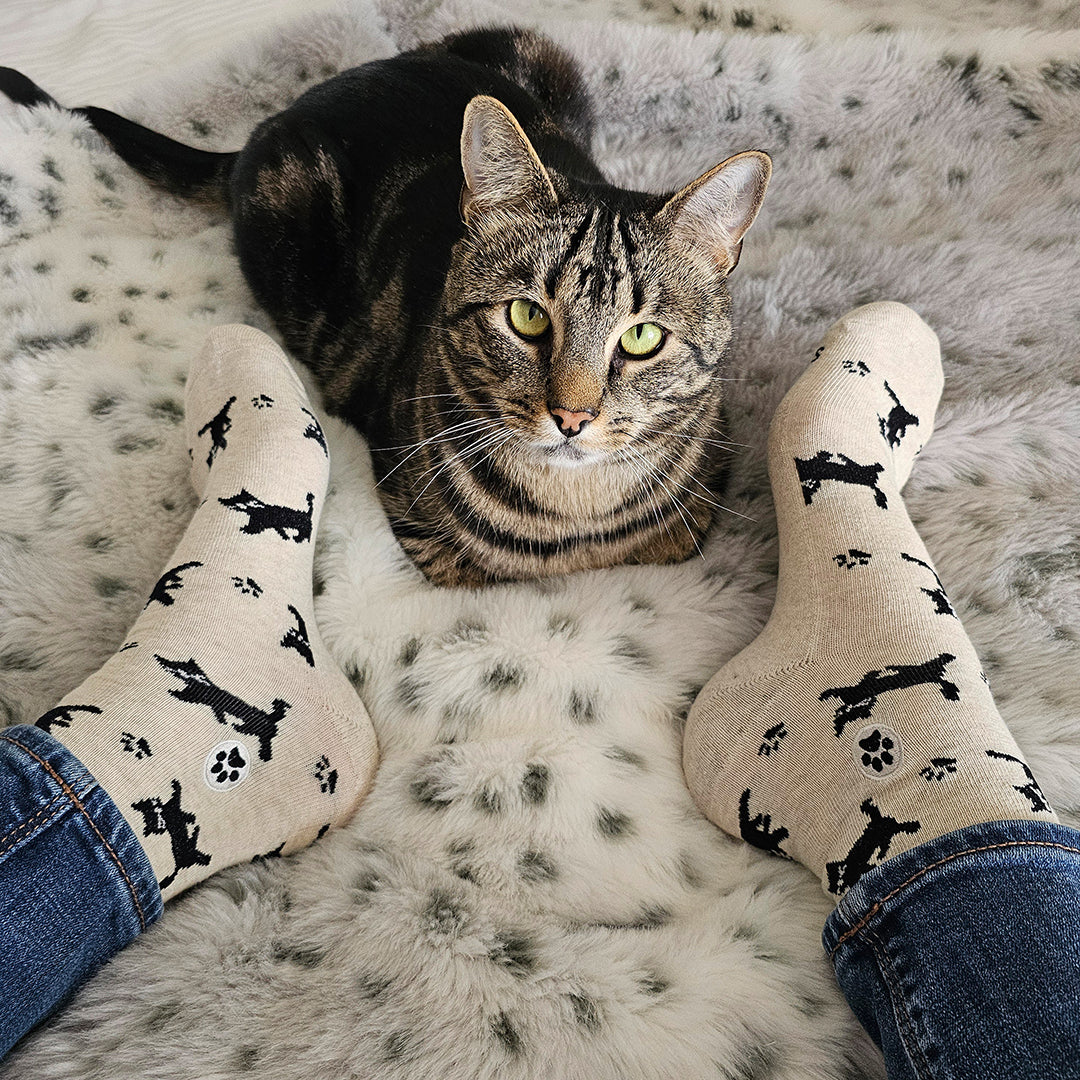Socks that Save Cats (Select from 4 Designs)