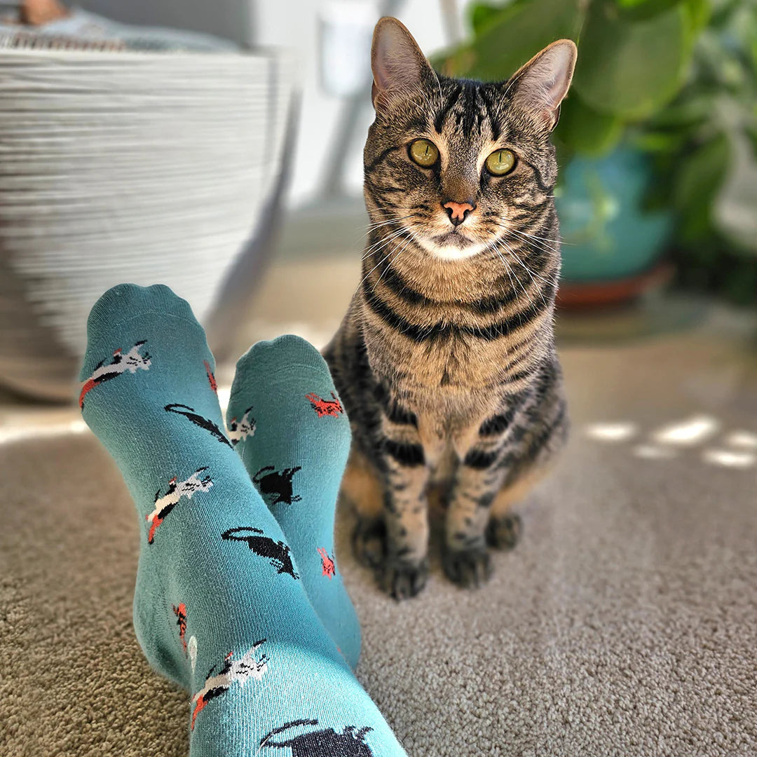 Socks that Save Cats (Select from 4 Designs)
