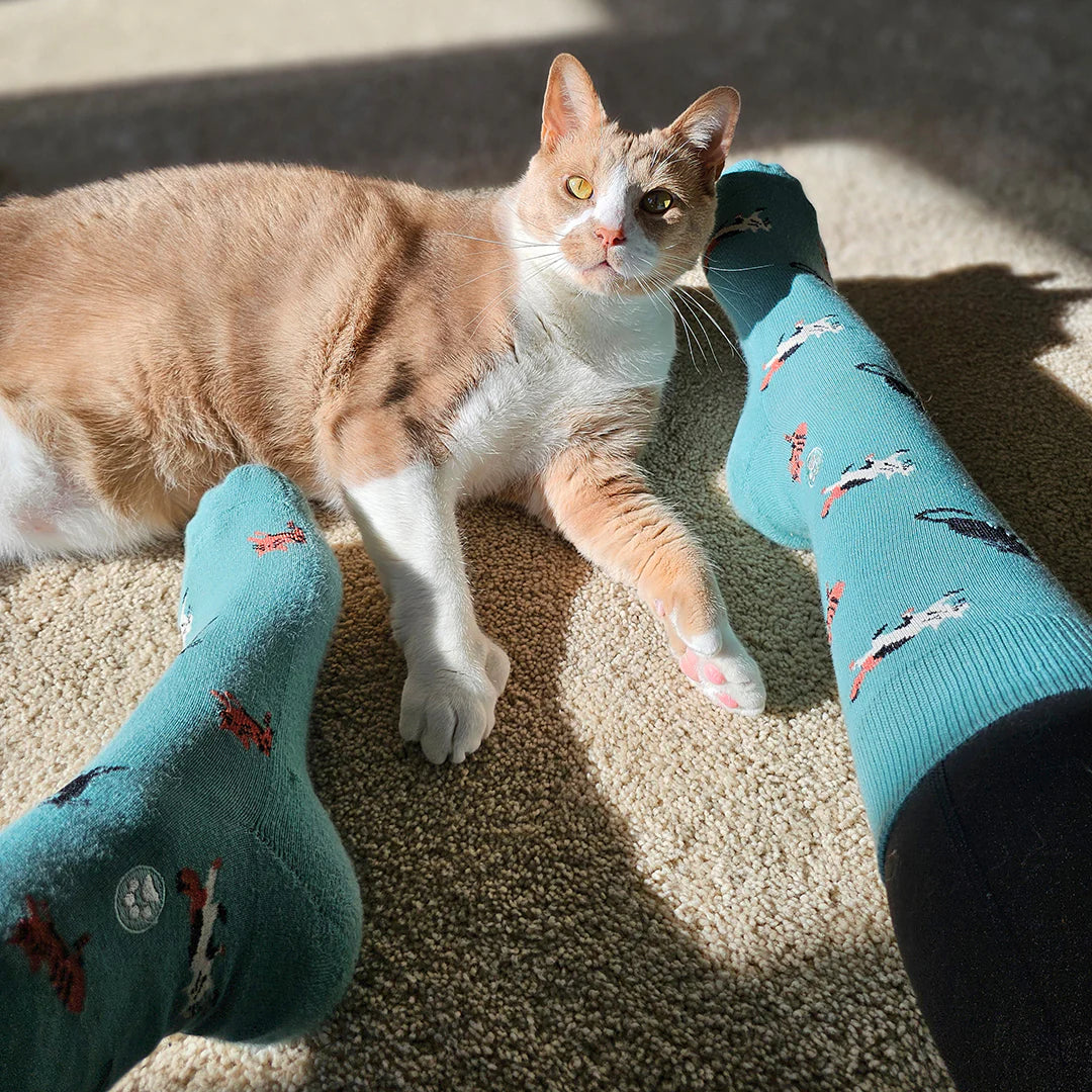 Socks that Save Cats (Select from 4 Designs)
