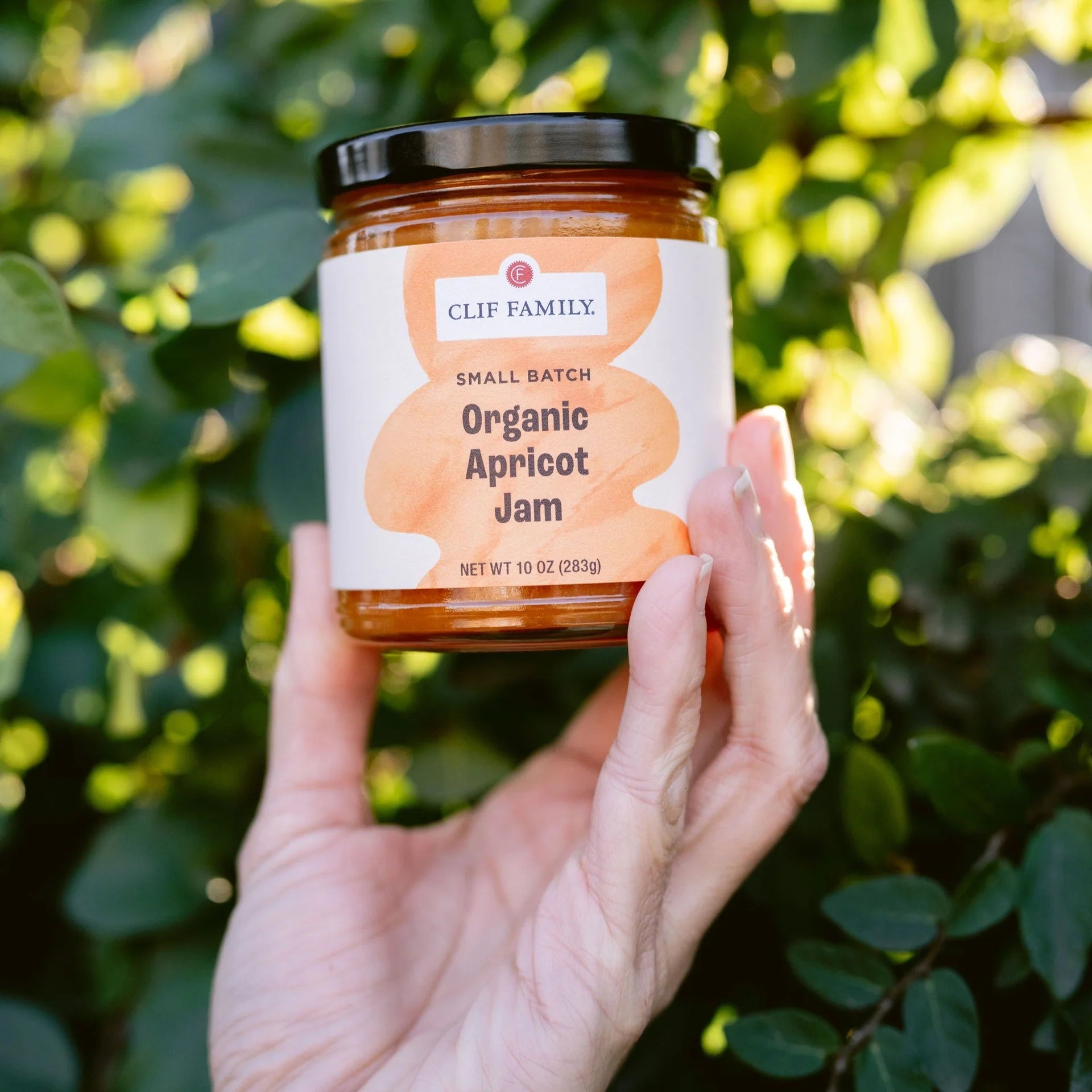 Organic Artisan Jam