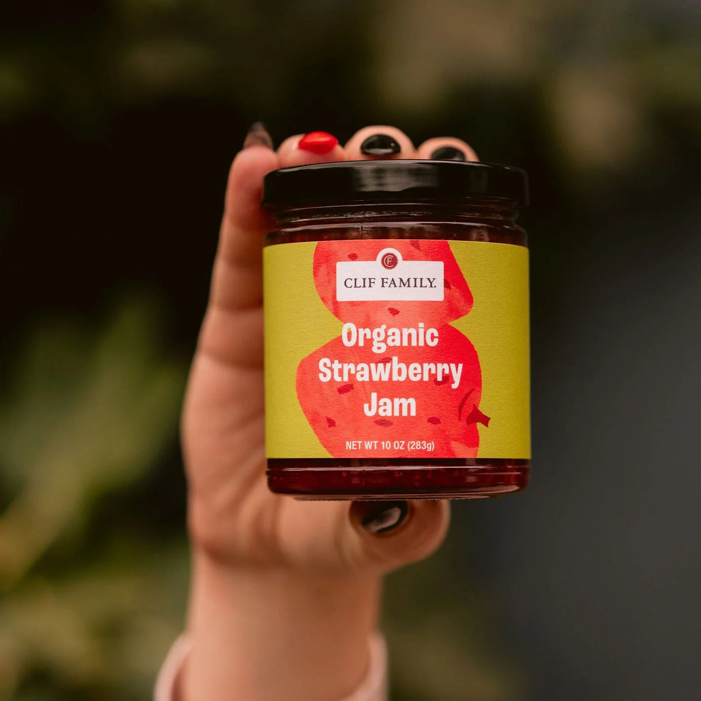 Organic Artisan Jam