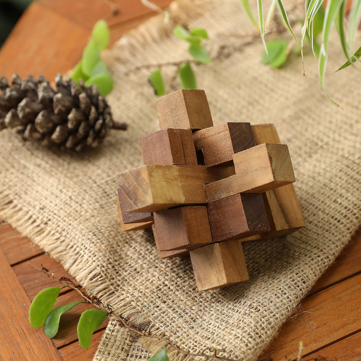 Challenge - a Hand Crafted Recycled Teak Wood Puzzle from Java