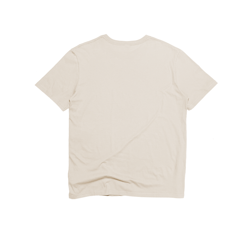 Unisex Premium Cotton Short Sleeve Tee (Fashion Colors) – GOEX Apparel