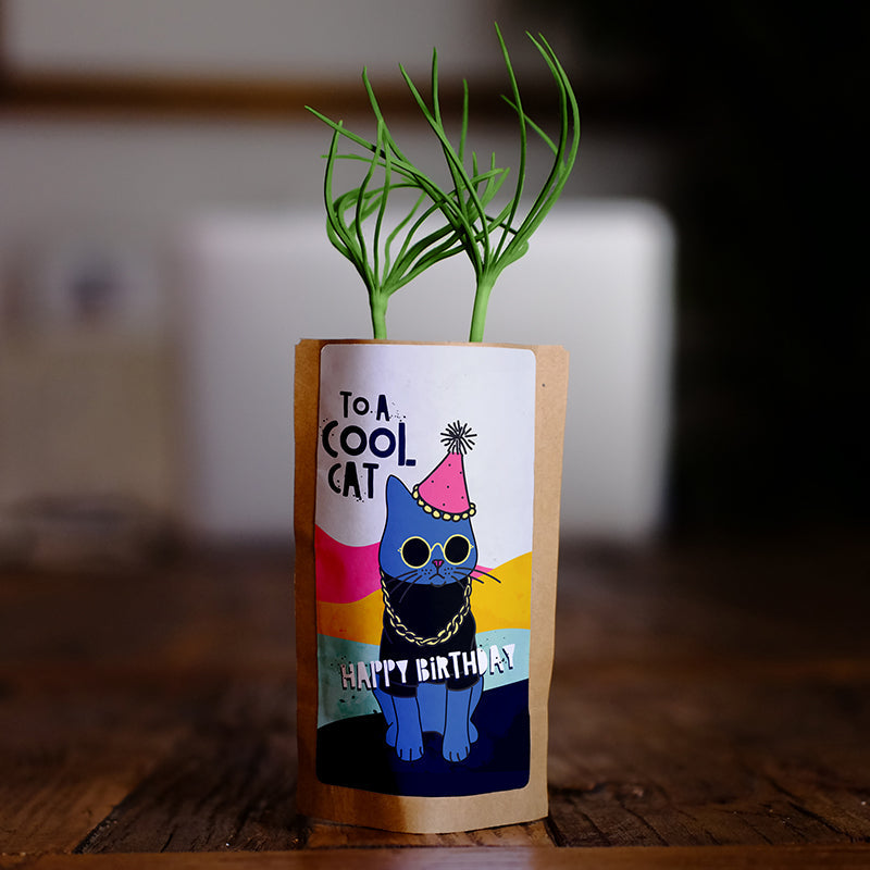 Cool Cat Birthday Tree, We Plant 10 More Trees