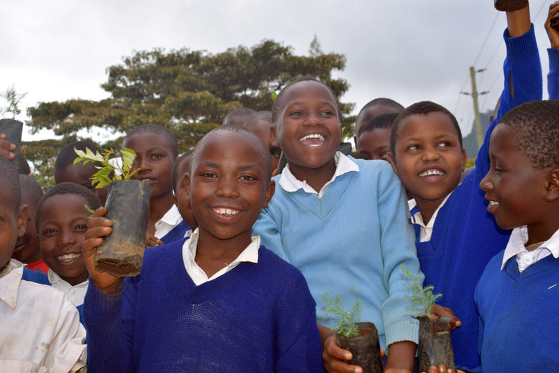 Merry Christmas Tree, We Plant 10 More Trees