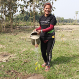 Plant A Tree In Your Honor Card