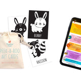 Child Development Optimization Bundle