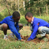 Happy New Year Tree, We Plant 10 More Trees