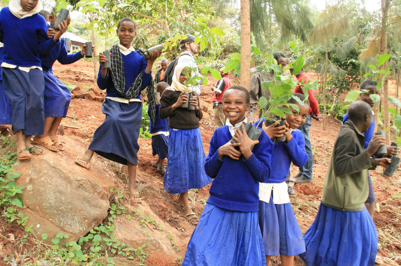 Future is in Our Hands Tree, We Plant 10 More Trees