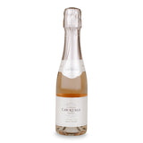 Mini Champagne Bottles - 24 pack