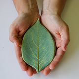 Small Leaf Dish