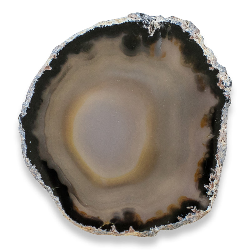 Brazilian Agate Coaster