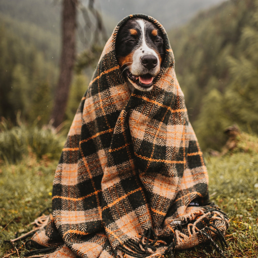 Vintage cheap plaid blanket