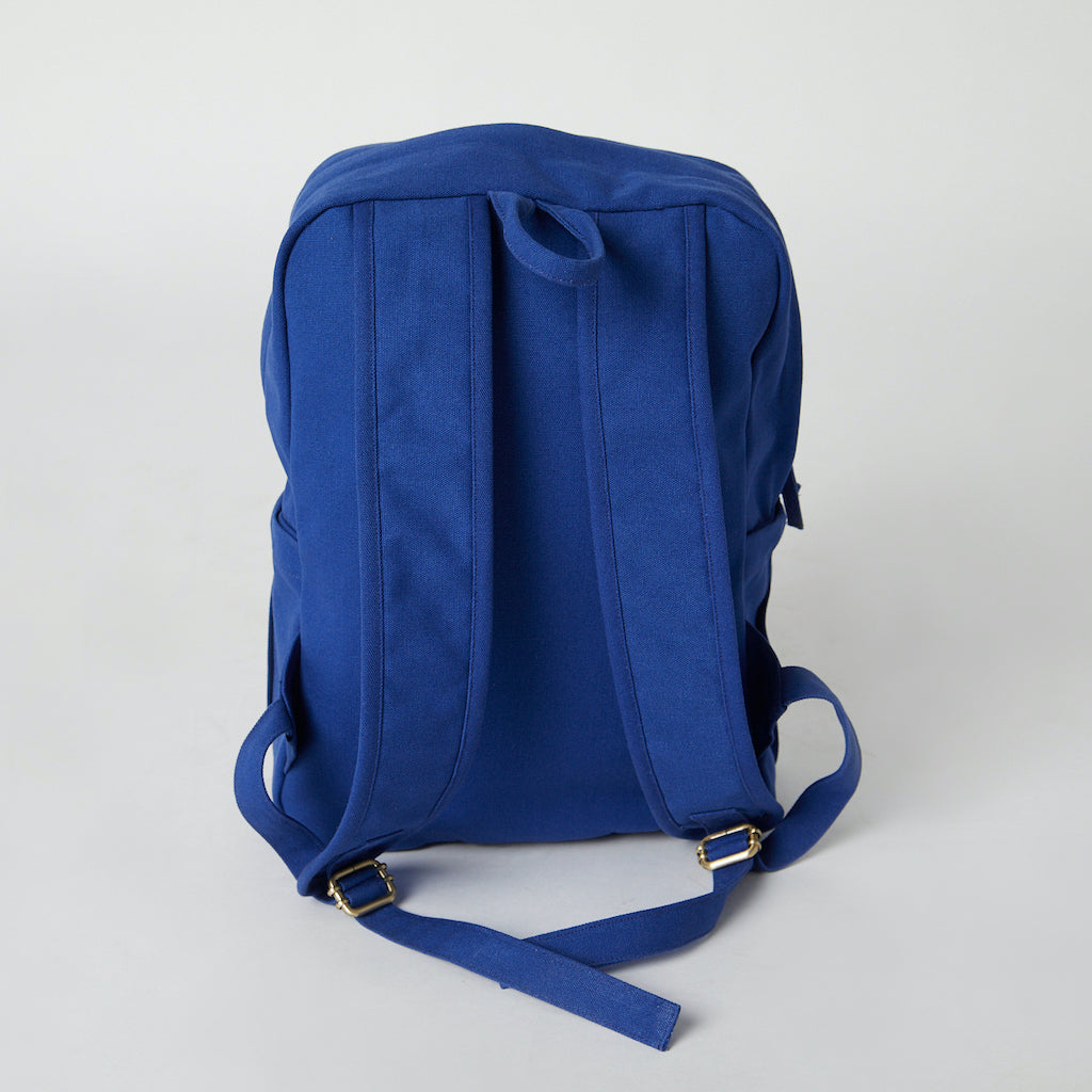 Earth Backpack