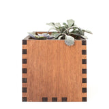 Square Desktop Planter