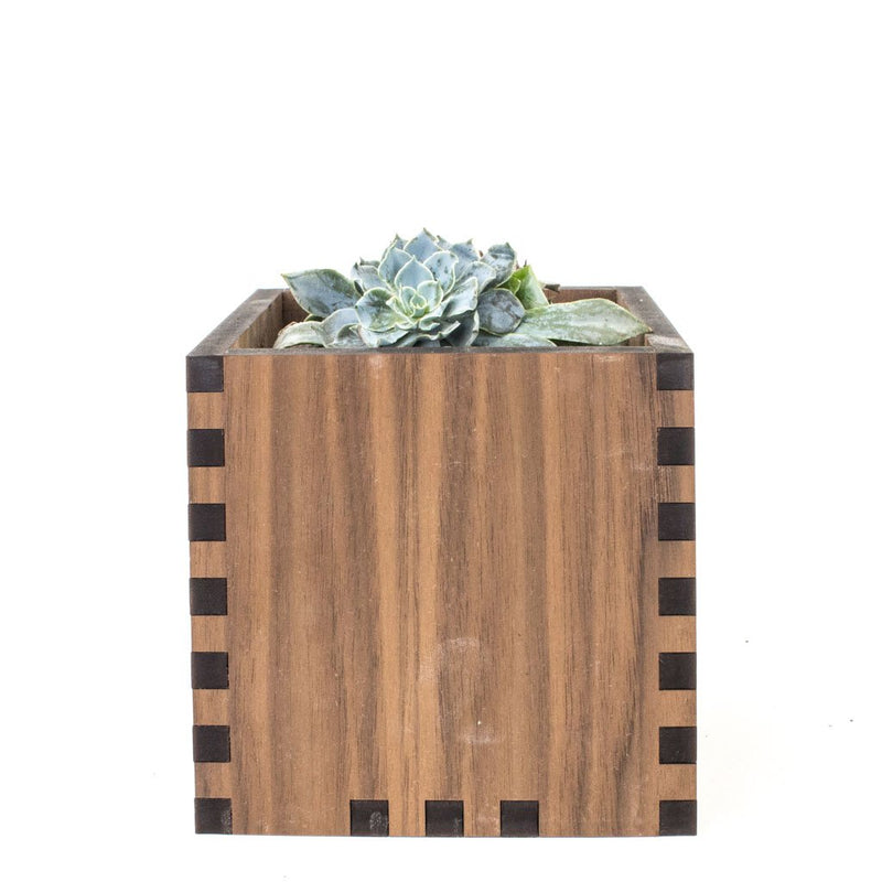 Square Desktop Planter