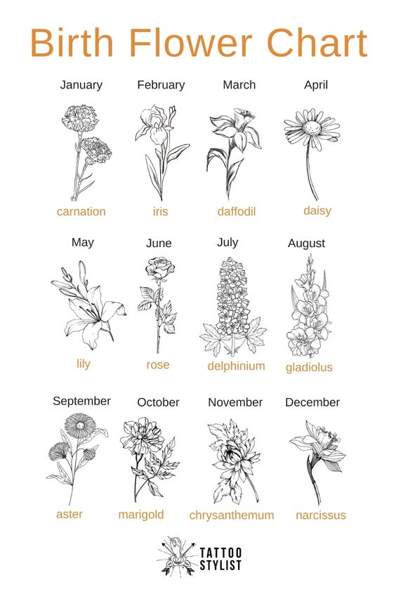 Chart of birth flowers