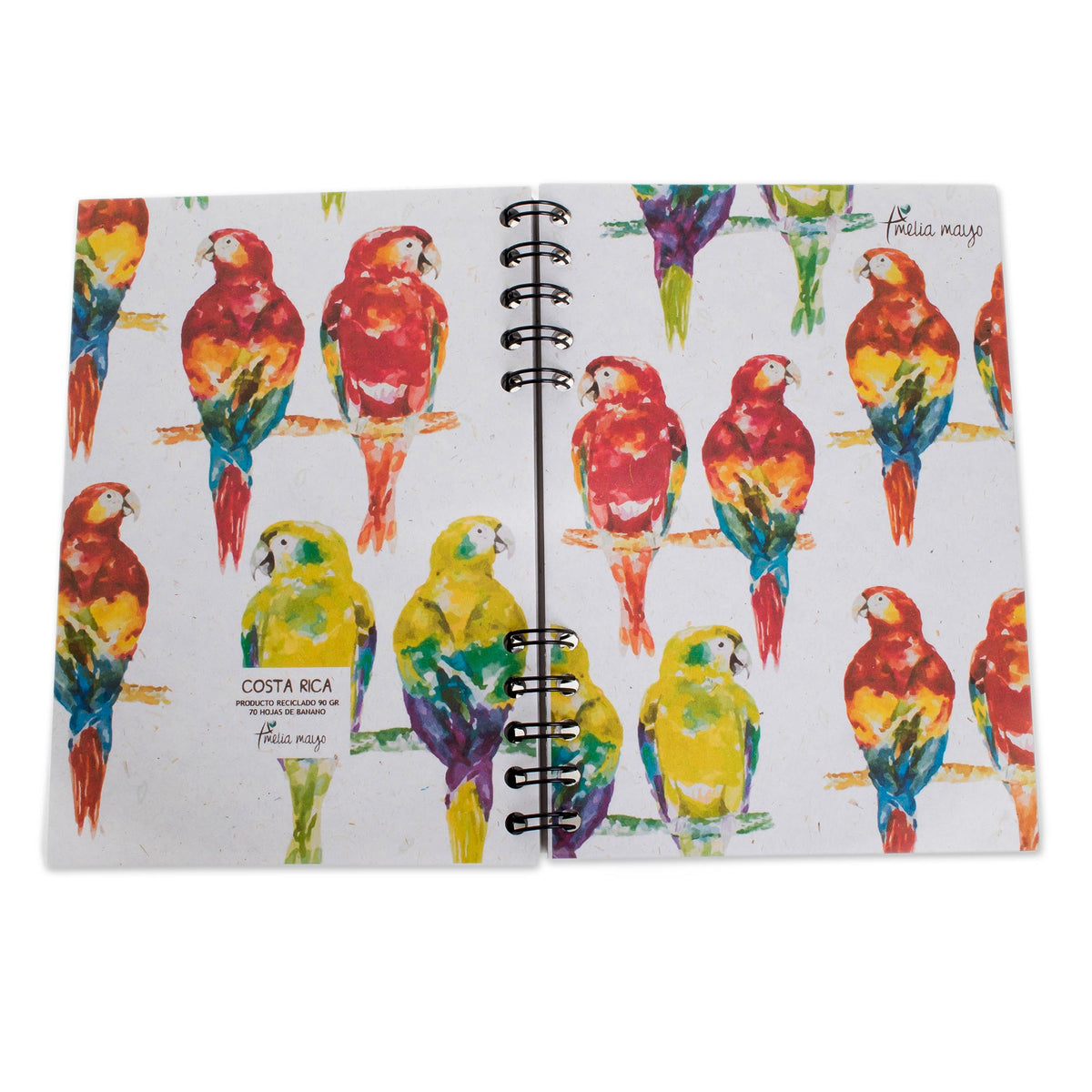 Parrot Colors Sugarcane Paper Journal