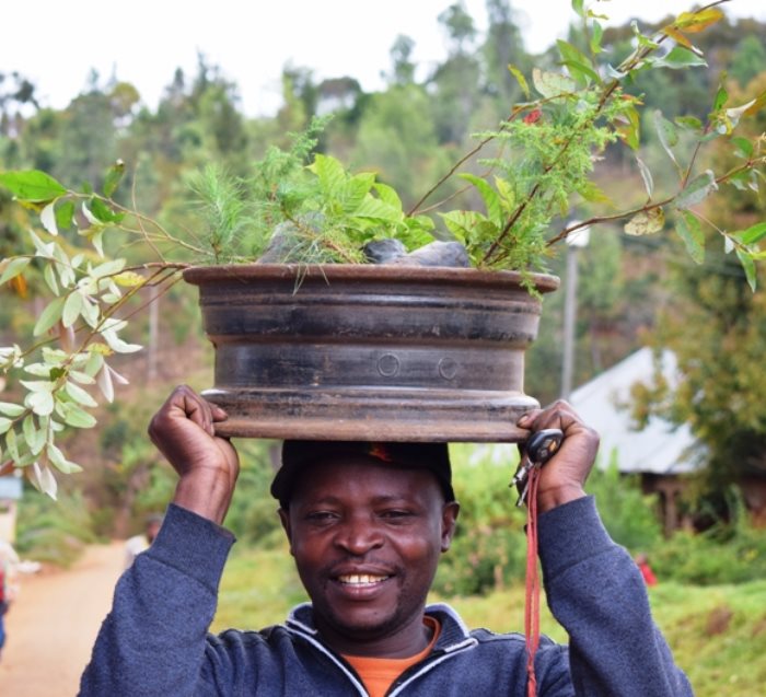 Congratulations Tree, We Plant 10 More Trees