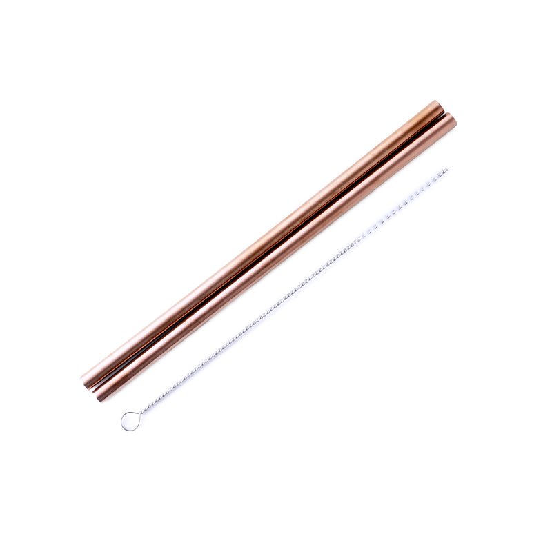 8.5" Stainless Steel Drinking Straws - Set of 2