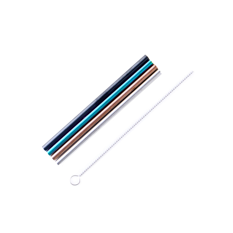 5" Stainless Steel Cocktail Straws - set of 4