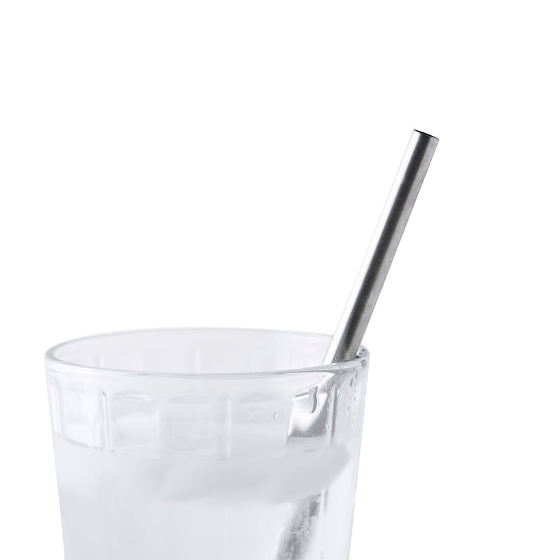 8.5" Wide Mouth Stainless Steel Drinking Straws - Set of 2