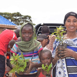 Happy Holidays Tree Gift Pack, We Plant 30 Trees